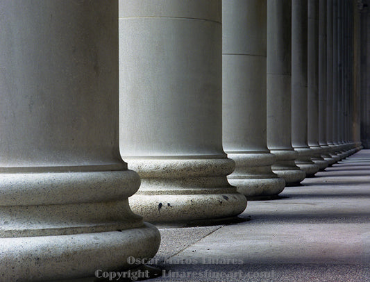The Urban Series