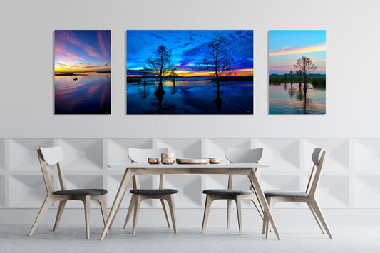 Three images that emphasize the importance of light in photography (About 3 part 5)