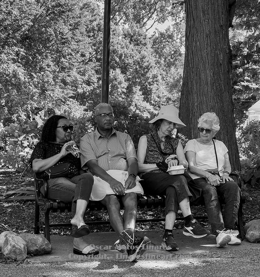 "Under the soft shadeof the summer trees" - Street Photography