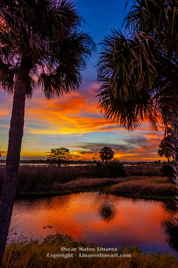 "Sunset at Christmas" - Landscapes Art