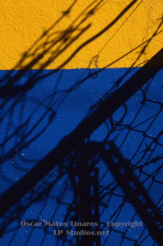 "Fence Shadows" - Minimalist Art