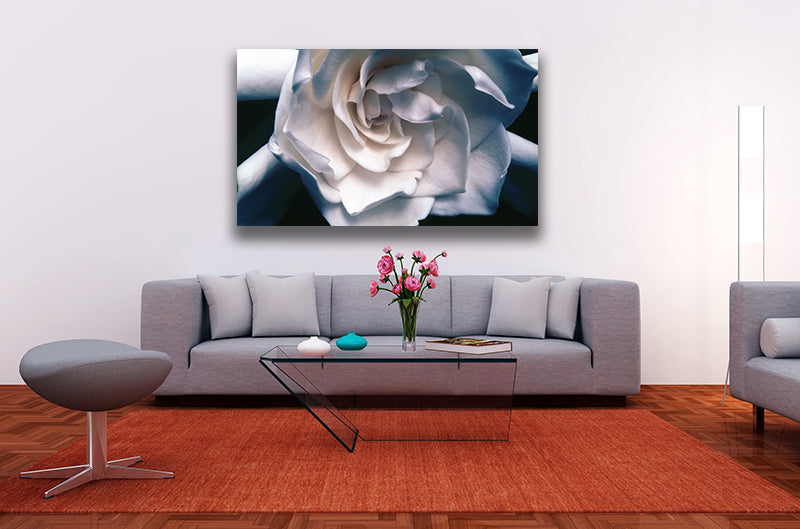 "Gardenia" - Botanical Art