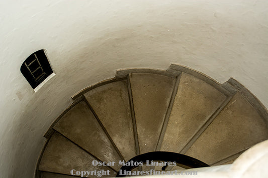 "Interior Staircase of Pinewood Estate" - Architecture Art