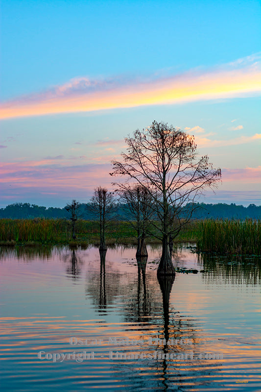 "Lake Land Escape" - Landscapes Art