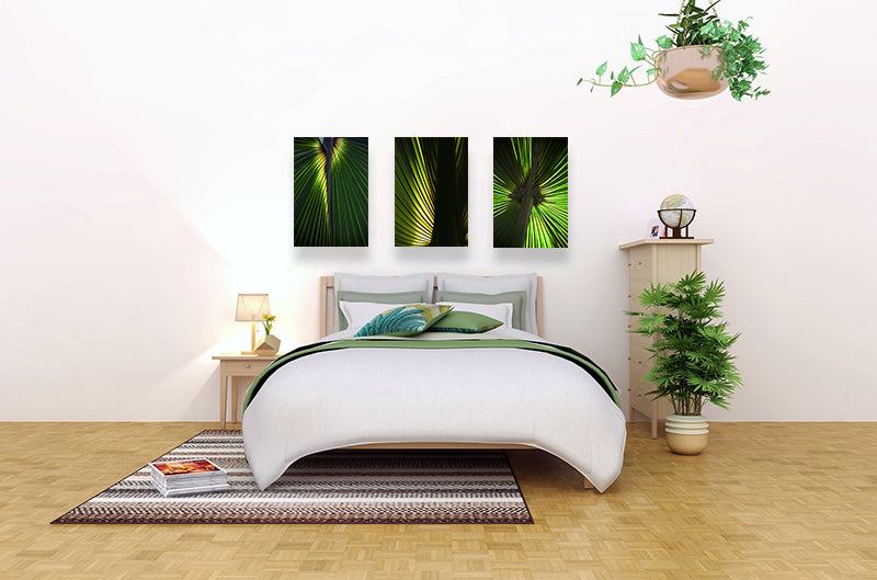 "Radian" - Botanical Art