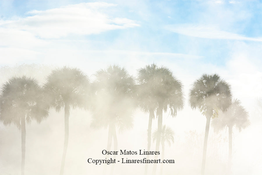 "Rising" - Landscape Art