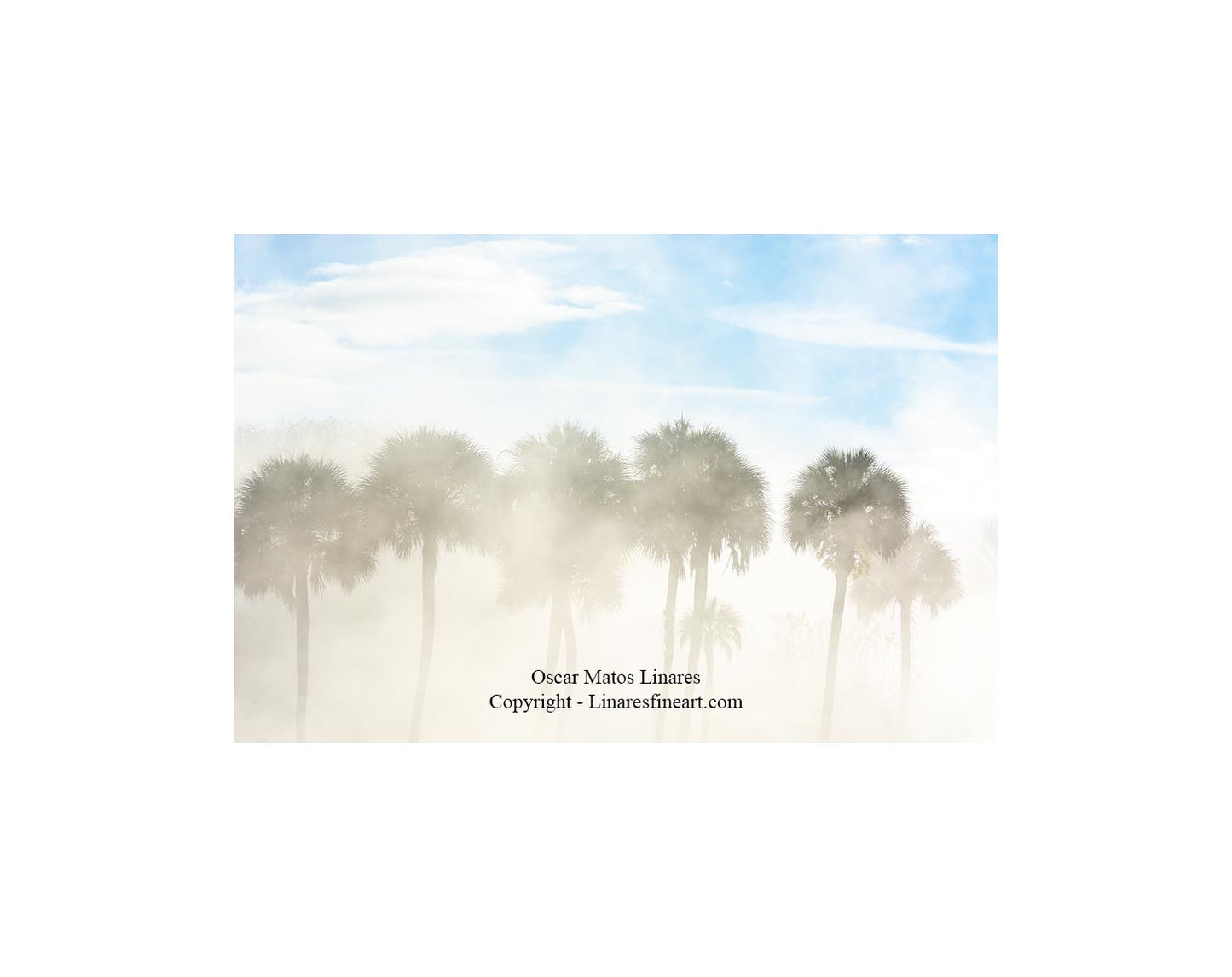 "Rising" - Landscape Art