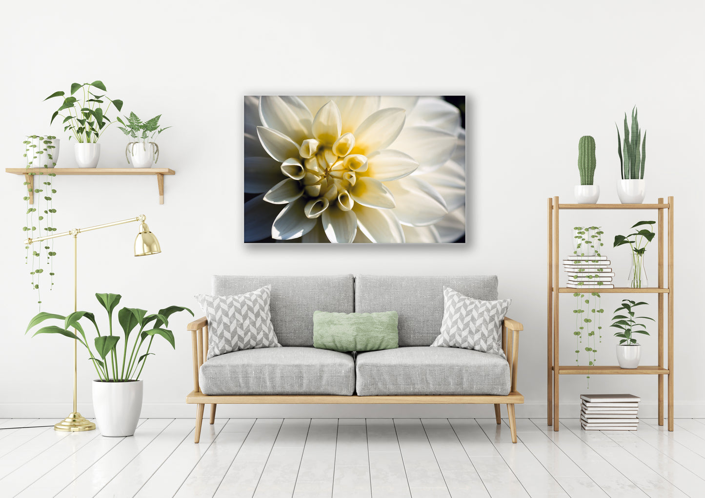 "White Dahlia" - Botanical Art