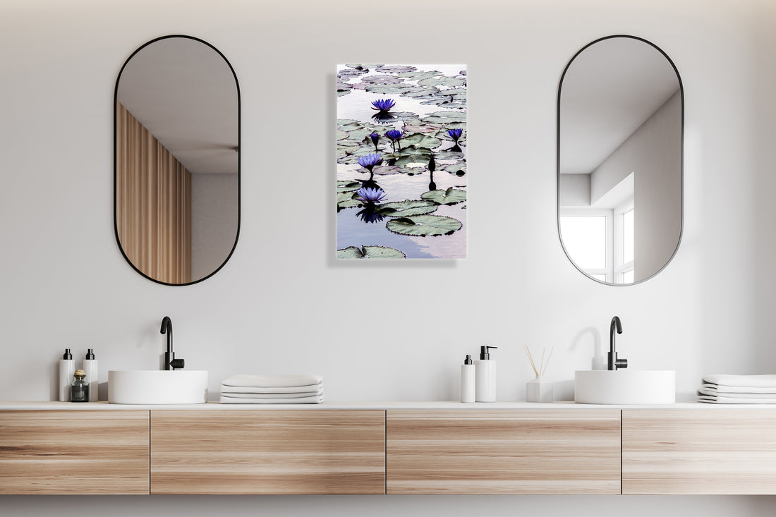 Photographing water lily  and using negative space (About 3 Part 7)