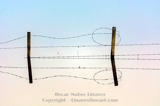 How do you handle failure in an art show and what do you expect from an art show?