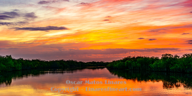 “Sunset Corridor” - Landscape Art