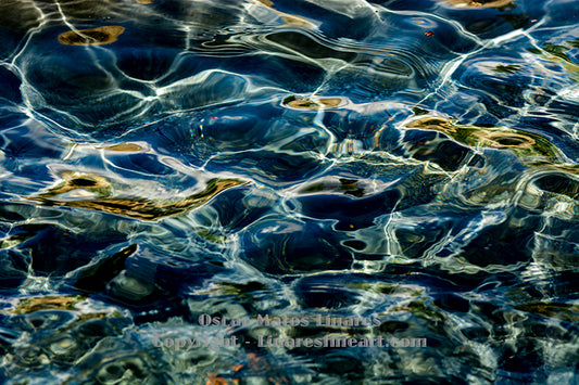 "Motion #3" - Botanical Art