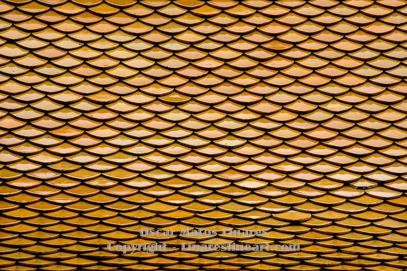 "The Golden Scales of Silence" - Minimalist Art