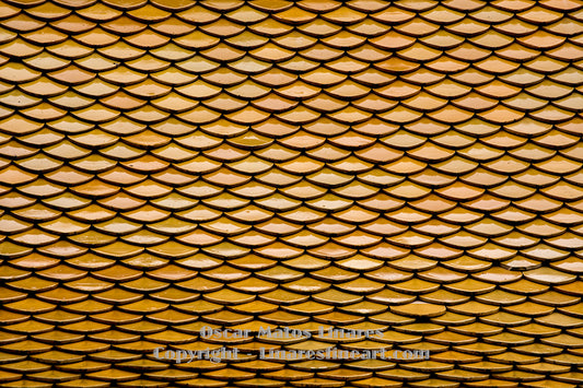 "The Golden Scales of Silence" - Minimalist Art