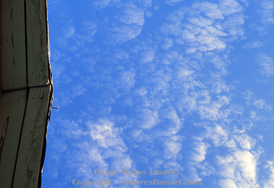 "Wondering" - Architecture Art